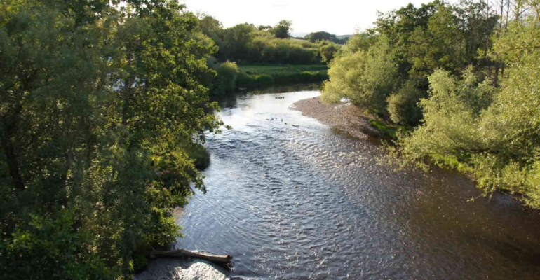 52 – River Teme – Shelsley Beauchamp