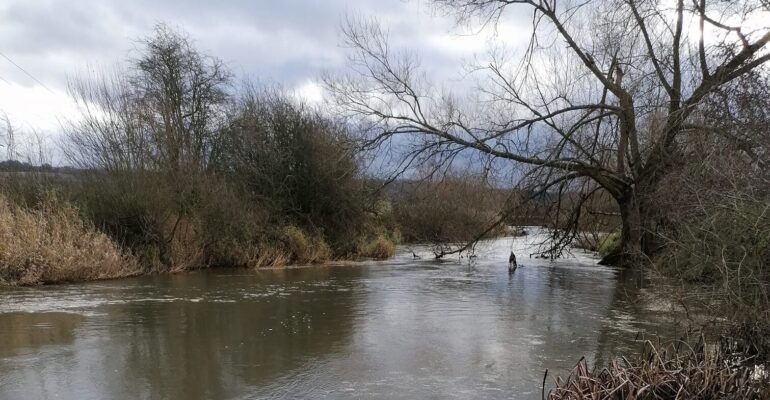 90 – River Lugg – Stoke Prior